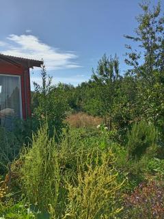 Refugio Pradera del Sur - 5