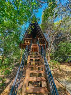 Habarana Tree House Ambasewana Resort - 2