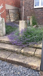 Haus Auszeitblick - 8