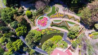 In the Heart of Fortitude Valley Entertainment - 3