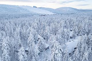 Forest Hideaway by Aavalevi - 6