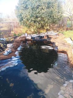 Stillsam Lodge, a Scandy retreat - 3