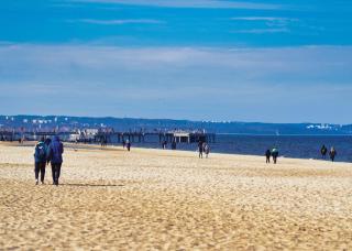 Apartament Gdańsk Premium Hallera - 9