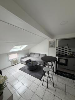 T3 duplex Cosy Centre-ville Longjumeau Proche RER TGV Orly - 0