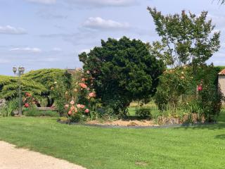 House of the Hollyhocks - 1
