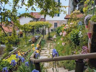 The Rooster House A Study in Green - 9