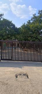 Corbett Sun Shine - 9