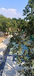 Corbett Sun Shine - 3