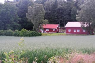 Wråen Svartrå - Svartrå - 9