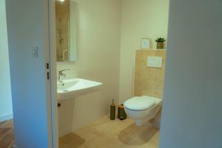Gîte 15 pers Piscine Nature Dombes - 9