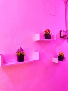 Logpom French House Groupe Electrogene - 8