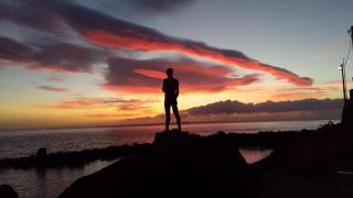 Harbour House - Paul do Mar - 7