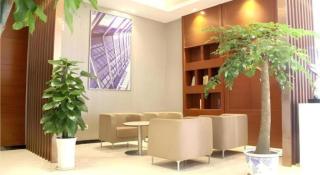 City Comfort Inn Fengcheng New District Municipal Government - 7