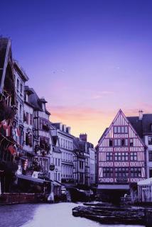 Patio en plein cœur de Rouen - Ambiance Zen - 4