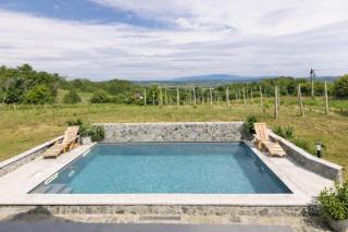 Roland House with Pool & Winery - 5