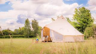 Nova Forest Montseny - 9