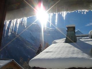 Chalet-Ski-Station - Chamonix-Mont-Blanc - 1