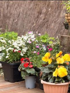 Lake & Mountain Views, cozy 2BR Home - 2