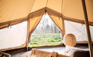 Nova Forest Montseny - 7