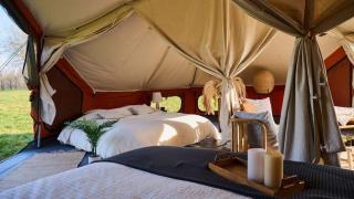 Nova Forest Montseny - 8