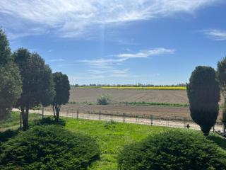 AgroKrówka - Agroturystyka w Niecieczy - 5