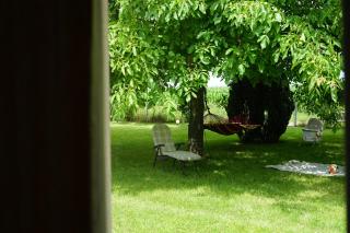 AgroKrówka - Agroturystyka w Niecieczy - 4