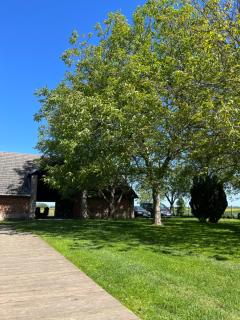 AgroKrówka - Agroturystyka w Niecieczy - 3