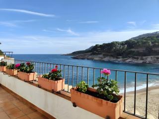 Tamariu Platja · Unforgetable Terrace ACWifi - 2