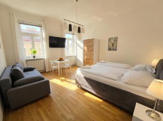 Central Vienna for Longstays, Comfy 1BR Apt with WIFI & TV - 9