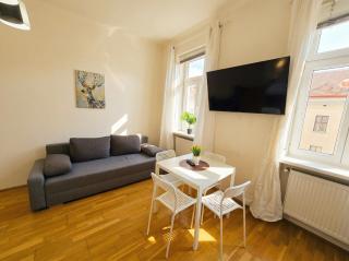 Central Vienna for Longstays, Comfy 1BR Apt with WIFI & TV - 7