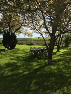 AgroKrówka - Agroturystyka w Niecieczy - 8