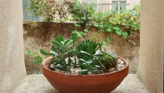 The Little Hideaway - La Petite Maison Cachée - 3