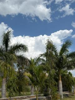 The Celestine Villa - 1