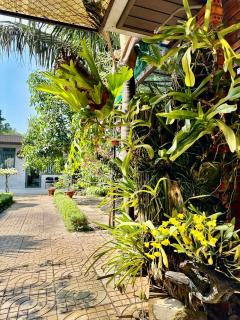 Homestay Buôn Mê 1 - 6