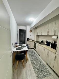 A B V Central Apartment- Unitate autorizata de Ministerul Turismului - 8