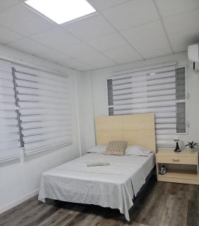 Large 9 bedroom home La Placita de Santurce By RentalsPR - 1