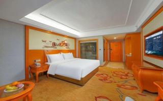 Vienna Hotel Guiyang North Station Dream City - 8