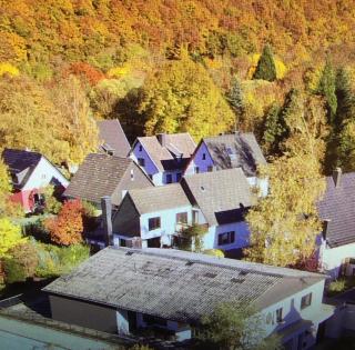 Eifelhaus4you - Gemünd - 5