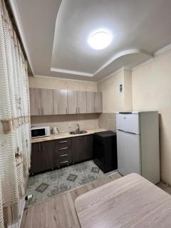 Уютная квартира напротив спорткомплекса Almaty Arena - 6