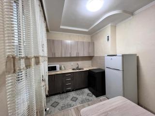 Уютная квартира напротив спорткомплекса Almaty Arena - 4