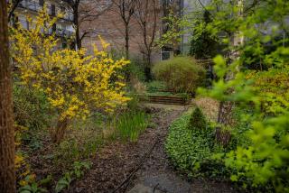 Neat & Comfy Near The Danube - 7