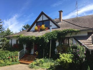 Côté vignes - Marlenheim - 9
