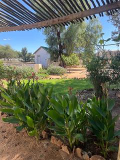 Hooves and Gardens - Aris Horse Riding - 6