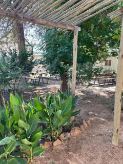 Hooves and Gardens - Aris Horse Riding - 5