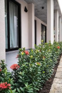 Terra Chas Cinnamon House Private Pool Villa Wadduwa - 6