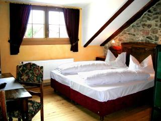 Historisches Genusshotel Löwen - Schopfheim - 5