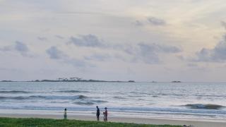 Sea shells on the seashore - 8