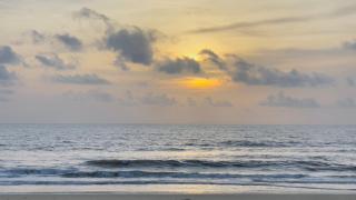 Sea shells on the seashore - 9