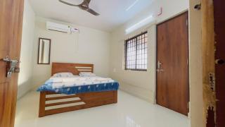 Sea shells on the seashore - 6