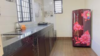 Sea shells on the seashore - 3